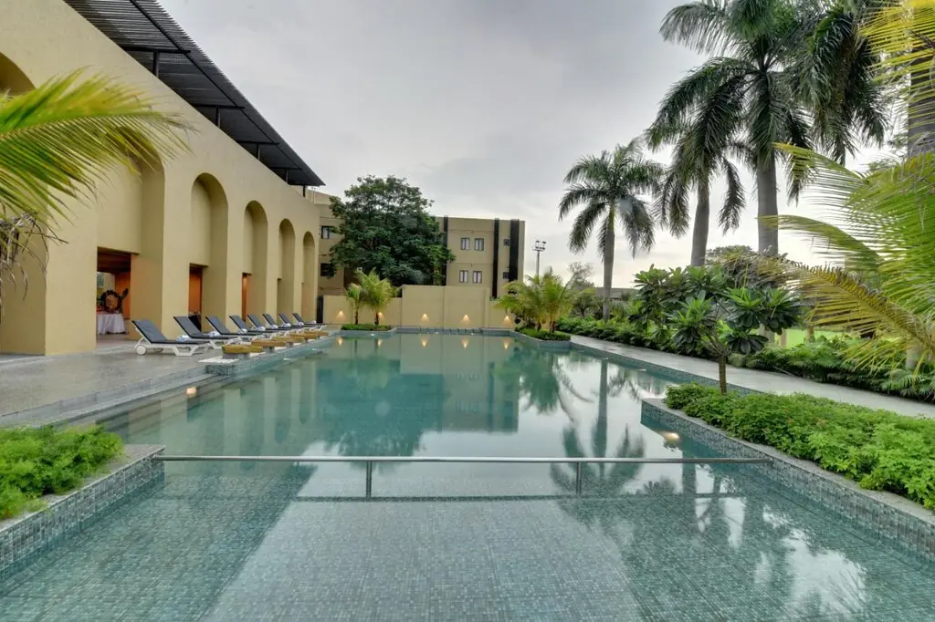 The pool, lined with palms